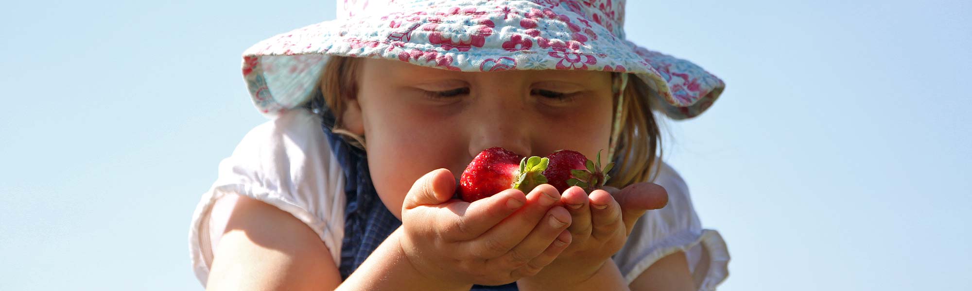 Kind riecht an Erdbeeren