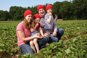 Familie Döpke mit Erdbeermützen auf einem Erdbeerfeld