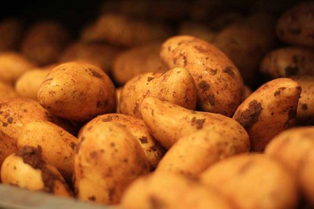 neue Kartoffeln